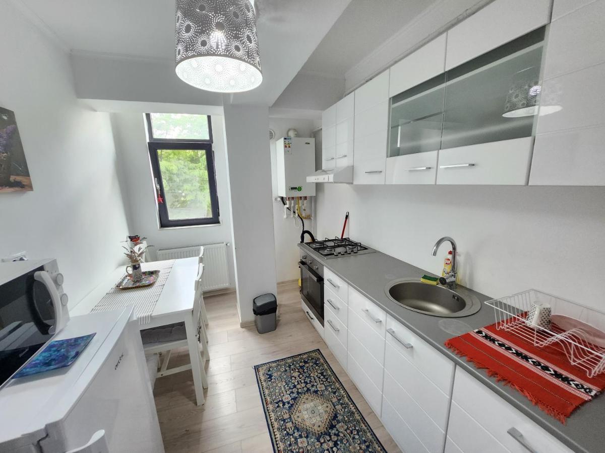 Boutique City Retreats Apartments Iasi Exterior foto